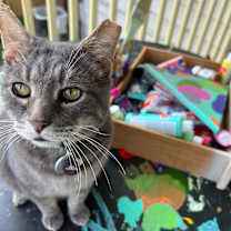 Thumbnail photo of Meeks #3