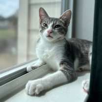 Thumbnail photo of Del #1