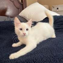 Thumbnail photo of Leo M #4