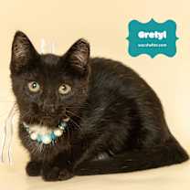 Thumbnail photo of GRETYL #1