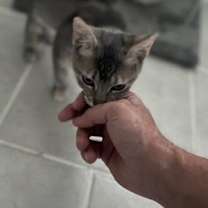 Thumbnail photo of Hope #2