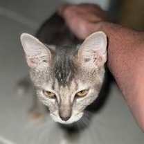 Thumbnail photo of Hope #3