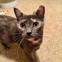 Thumbnail photo of Jasmine #1