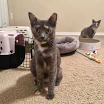 Thumbnail photo of Jasmine #2