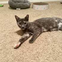 Thumbnail photo of Jasmine #4