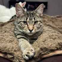 Thumbnail photo of Bach #3