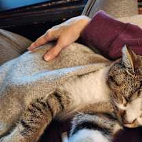 Thumbnail photo of Loki #2