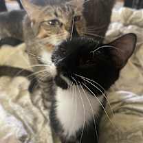 Thumbnail photo of Charlie #1