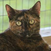 Thumbnail photo of Marsha #3