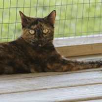 Thumbnail photo of Marsha #4