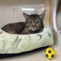 Thumbnail photo of Natasha #1