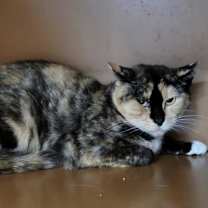 Thumbnail photo of Maybell #3