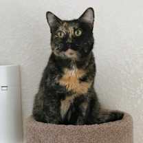 Thumbnail photo of Moki #4