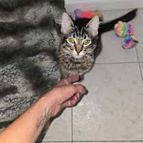 Thumbnail photo of Luna #4