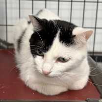 Thumbnail photo of Samantha #3