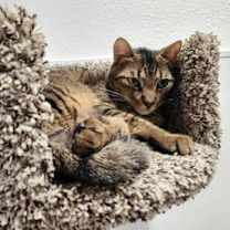 Thumbnail photo of Pencil #1