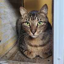 Thumbnail photo of Pencil #3