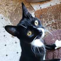 Thumbnail photo of Radar #1