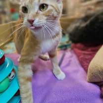 Thumbnail photo of Chloe #3