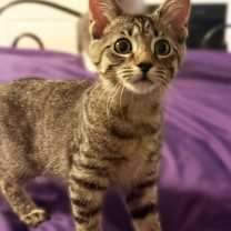 Thumbnail photo of Bubbles Branch #4