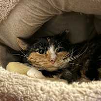 Thumbnail photo of Ferry #3