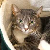 Thumbnail photo of Furlow #2