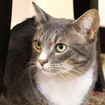 Thumbnail photo of Furlow #3