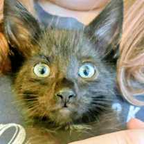 Thumbnail photo of Quinn #2