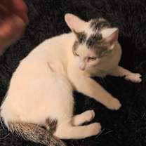 Thumbnail photo of Luna #3