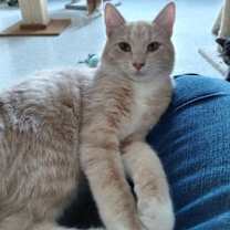 Thumbnail photo of Zion @ The Cat's Brew #1