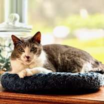 Thumbnail photo of Max #4