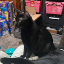 Thumbnail photo of Mavis & Marceline #4