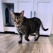 Thumbnail photo of Walter #3