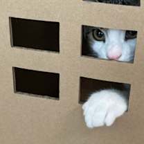 Thumbnail photo of 44 #4