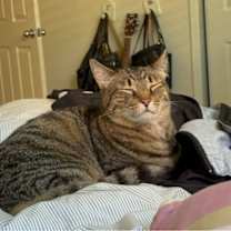 Thumbnail photo of antonio #1