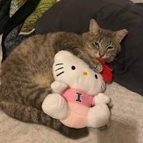 Thumbnail photo of Sully #1