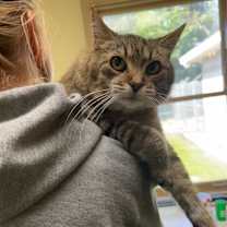 Thumbnail photo of Pele/Butters #2