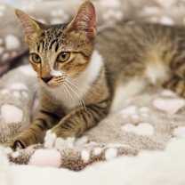 Thumbnail photo of Rory #3