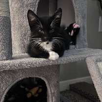 Thumbnail photo of Max #1