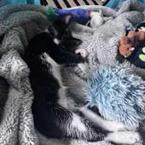 Thumbnail photo of Boots #2