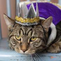 Thumbnail photo of Euphrates #1