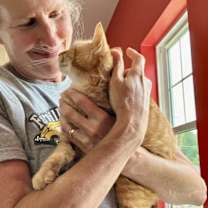 Thumbnail photo of Clementine (FCID# 03/07/2024 - 18) SN food #3