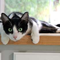 Thumbnail photo of Vanessa #3