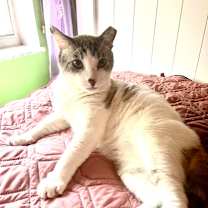 Thumbnail photo of Arlo #1