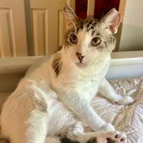 Thumbnail photo of Arlo #3