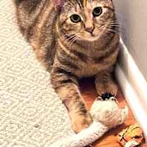 Thumbnail photo of Raquel #2