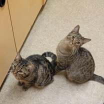 Thumbnail photo of Tracy #2