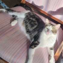 Thumbnail photo of Joy #3