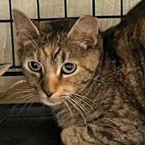 Thumbnail photo of Nelly #2