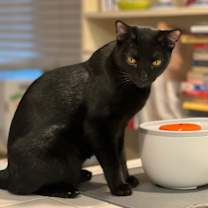 Thumbnail photo of Austin #2